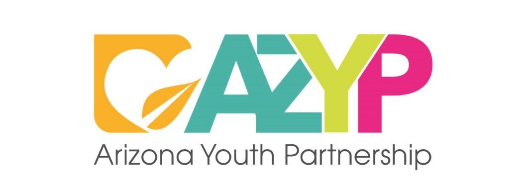 Arizona Youth Partnership